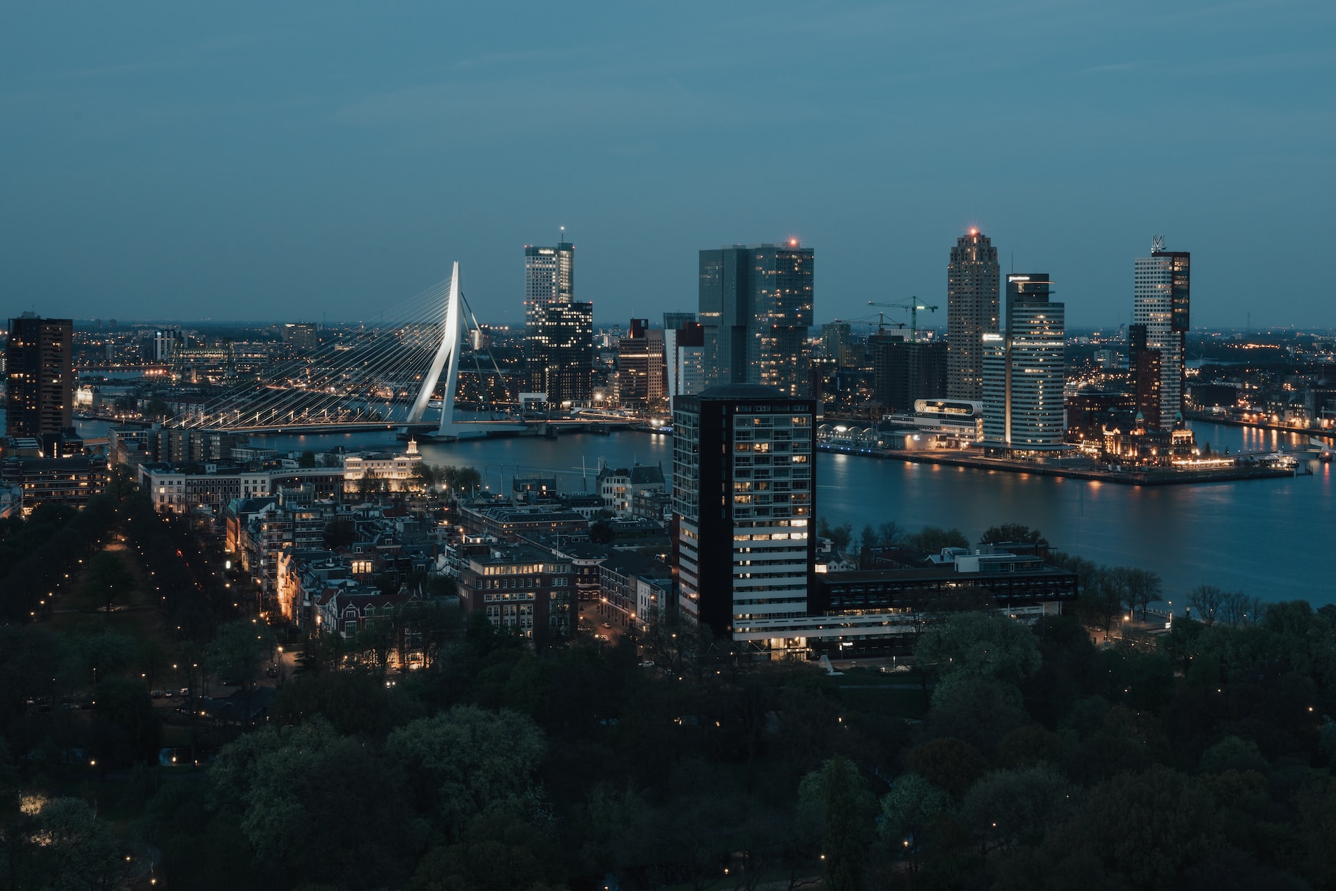 Rotterdam by Night - Photo by Stijn Hanegraaf on Unsplash